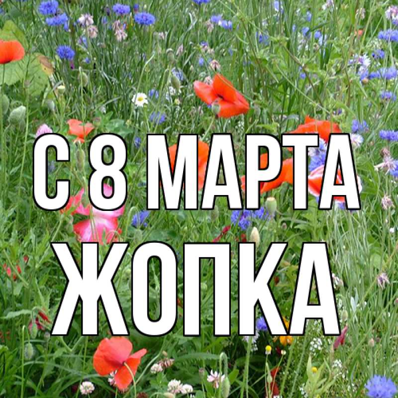 Картинка C 8 МАРТА, Жопка