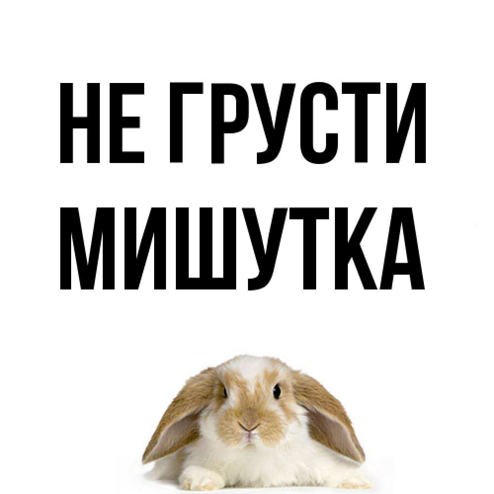 Открытка на каждый день с именем, Мишутка Не грусти коричнево белый заяц с большими ушками Прикольная открытка с пожеланием онлайн скачать бесплатно 