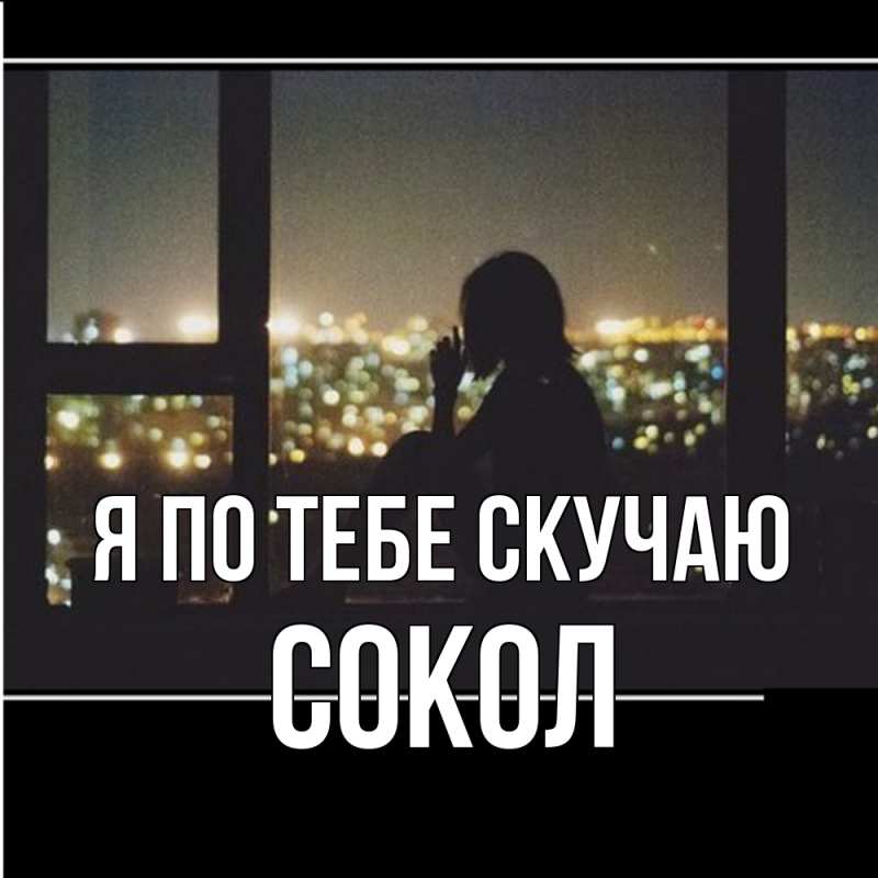 Картинка Я по тебе скучаю, Сокол