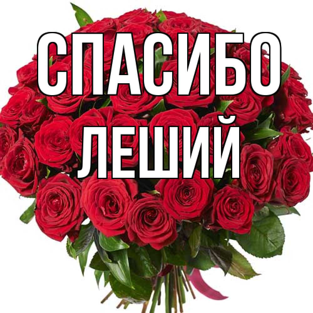 Открытка на каждый день с именем, Леший Спасибо букет красных роз Прикольная открытка с пожеланием онлайн скачать бесплатно 