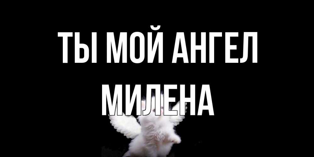 Открытка на каждый день с именем, Милена Ты мой ангел Кот ангел Прикольная открытка с пожеланием онлайн скачать бесплатно 