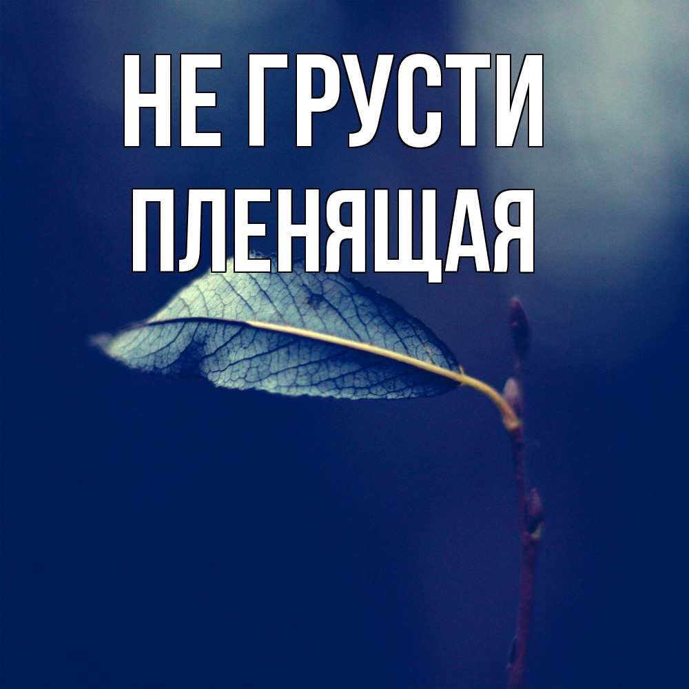 Открытка на каждый день с именем, пленящая Не грусти растение Прикольная открытка с пожеланием онлайн скачать бесплатно 