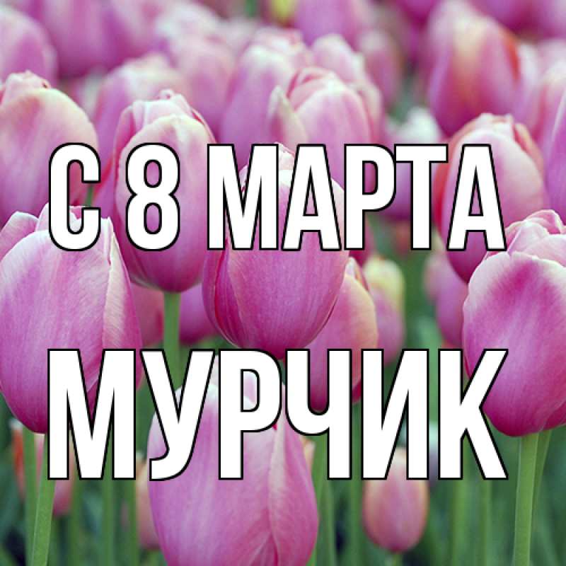 Картинка C 8 МАРТА, Мурчик
