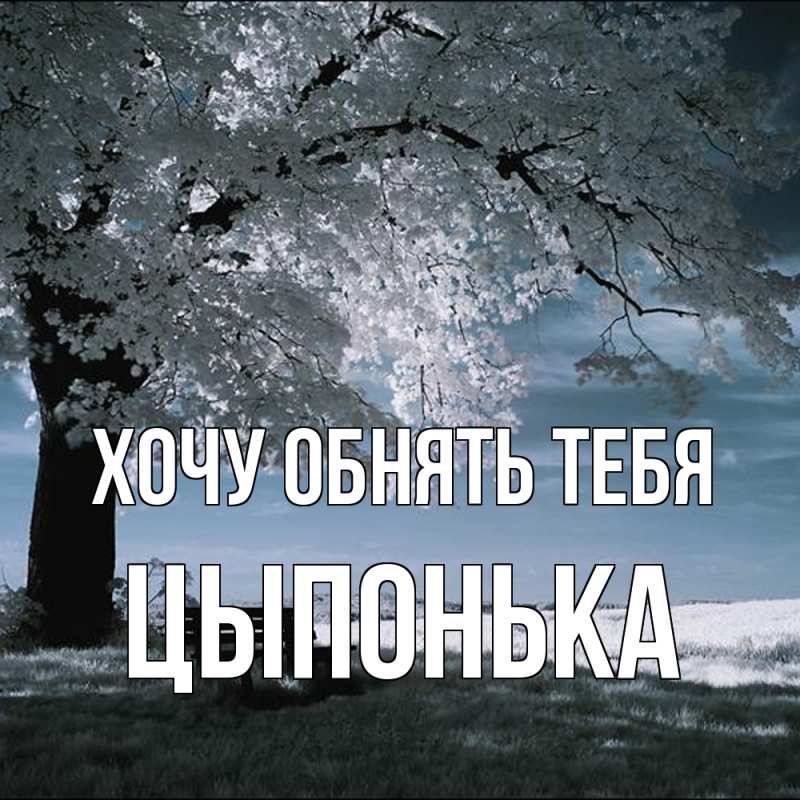 Открытка с именем, Цыпонька, Хочу обнять тебя