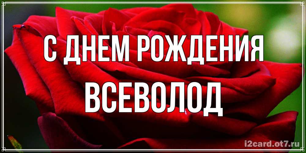 Открытка на каждый день с именем, Всеволод С днем рождения розочка очень красивая Прикольная открытка с пожеланием онлайн скачать бесплатно 