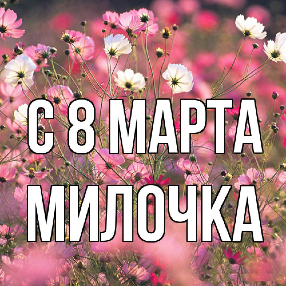 Открытка на каждый день с именем, Милочка C 8 МАРТА красиво 1 Прикольная открытка с пожеланием онлайн скачать бесплатно 