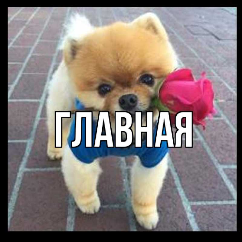 Картинка  с именем , Анна