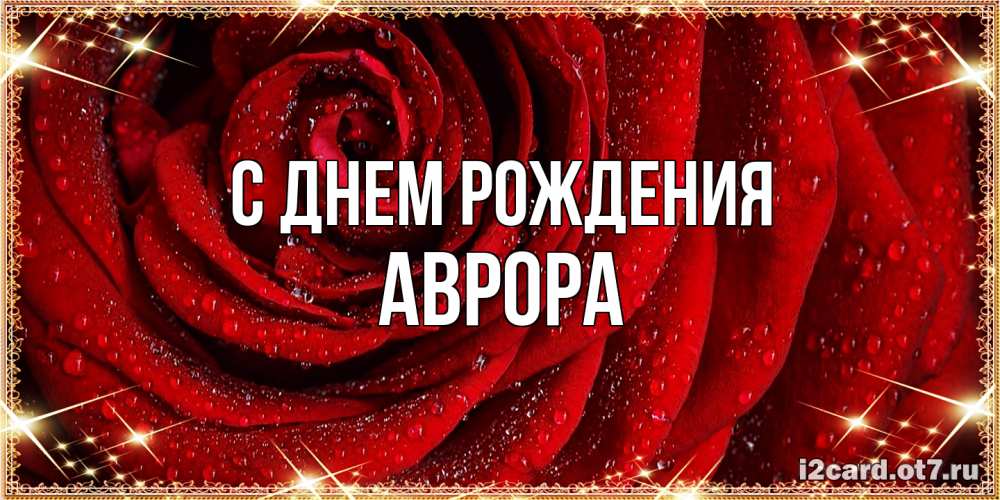 Открытка на каждый день с именем, Аврора С днем рождения роса на розе блестящая в лучах солнца Прикольная открытка с пожеланием онлайн скачать бесплатно 