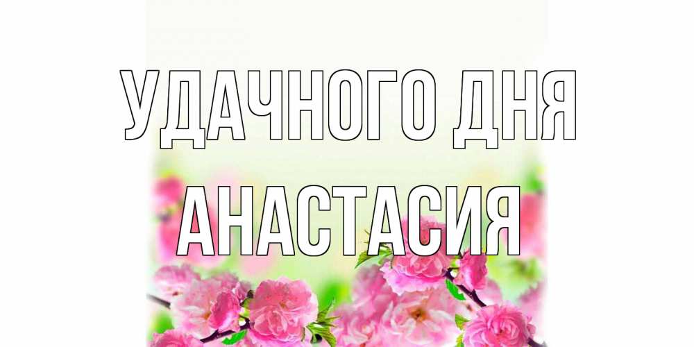 Открытка на каждый день с именем, Анастасия Удачного дня цветы Прикольная открытка с пожеланием онлайн скачать бесплатно 