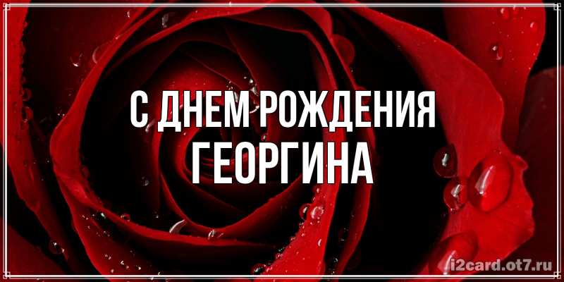Картинка С днем рождения, Георгина