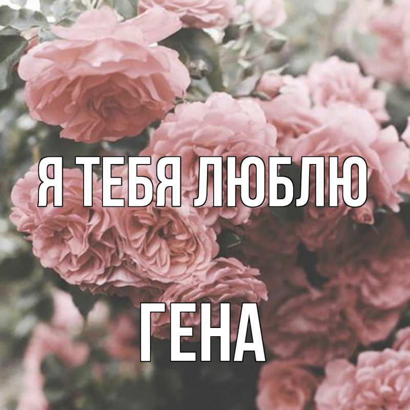 Картинка Я тебя люблю, Гена