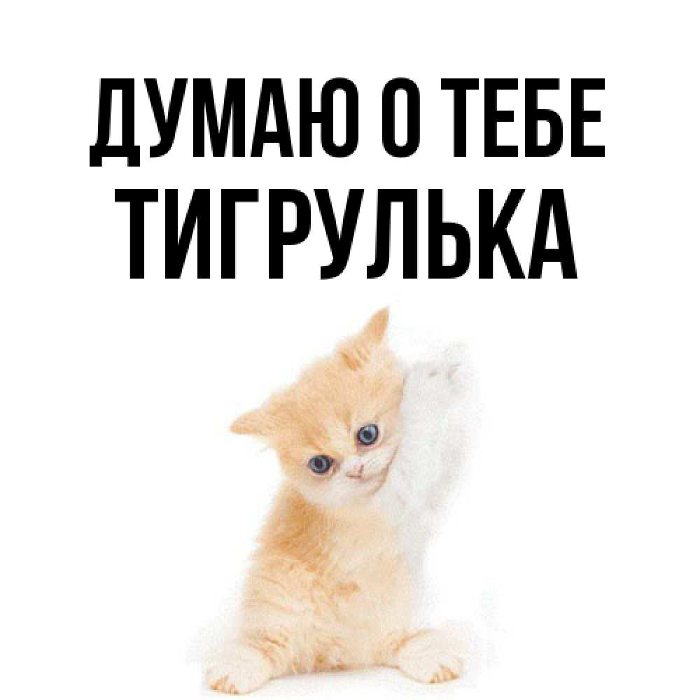 Открытка на каждый день с именем, тигрулька Думаю о тебе зверушки и милота Прикольная открытка с пожеланием онлайн скачать бесплатно 