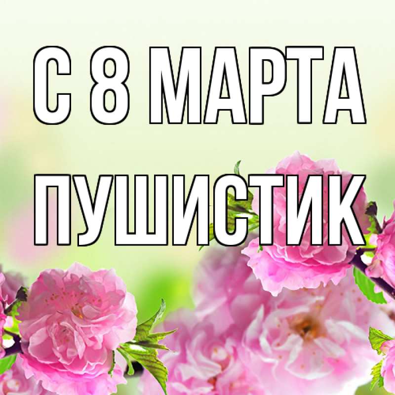 Картинка C 8 МАРТА, Пушистик