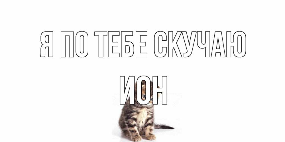 Открытка на каждый день с именем, Ион Я по тебе скучаю кот Прикольная открытка с пожеланием онлайн скачать бесплатно 