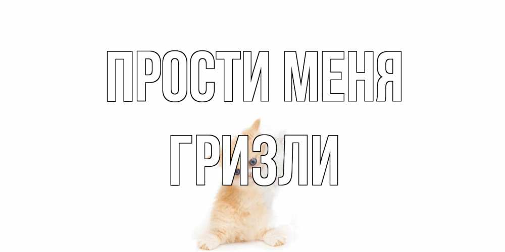 Открытка на каждый день с именем, Гризли Прости меня кот Прикольная открытка с пожеланием онлайн скачать бесплатно 