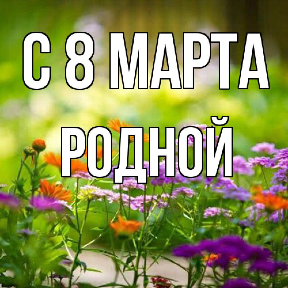 Открытка на каждый день с именем, Родной C 8 МАРТА цветы Прикольная открытка с пожеланием онлайн скачать бесплатно 