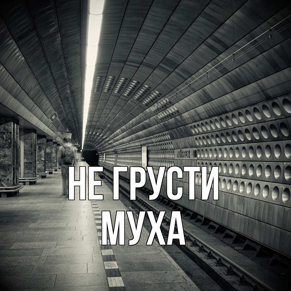 Открытка на каждый день с именем, Муха Не грусти пустая станция метро Прикольная открытка с пожеланием онлайн скачать бесплатно 