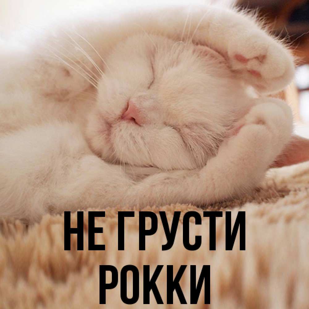 Открытка на каждый день с именем, Рокки Не грусти Котенок спит Прикольная открытка с пожеланием онлайн скачать бесплатно 