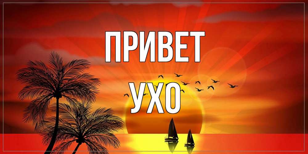 Открытка на каждый день с именем, Ухо Привет привет Прикольная открытка с пожеланием онлайн скачать бесплатно 