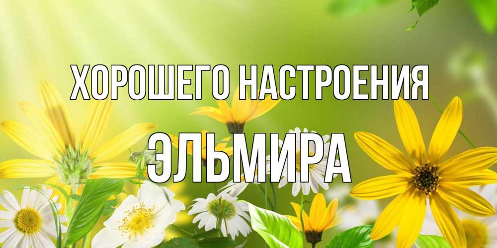 Открытка на каждый день с именем, Эльмира Хорошего настроения цветы Прикольная открытка с пожеланием онлайн скачать бесплатно 