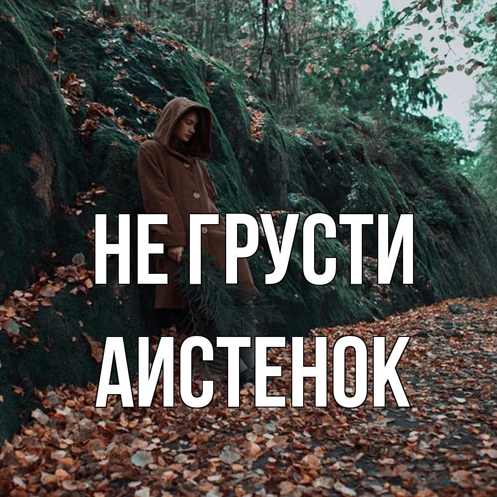 Открытка на каждый день с именем, аистенок Не грусти осенний лес Прикольная открытка с пожеланием онлайн скачать бесплатно 