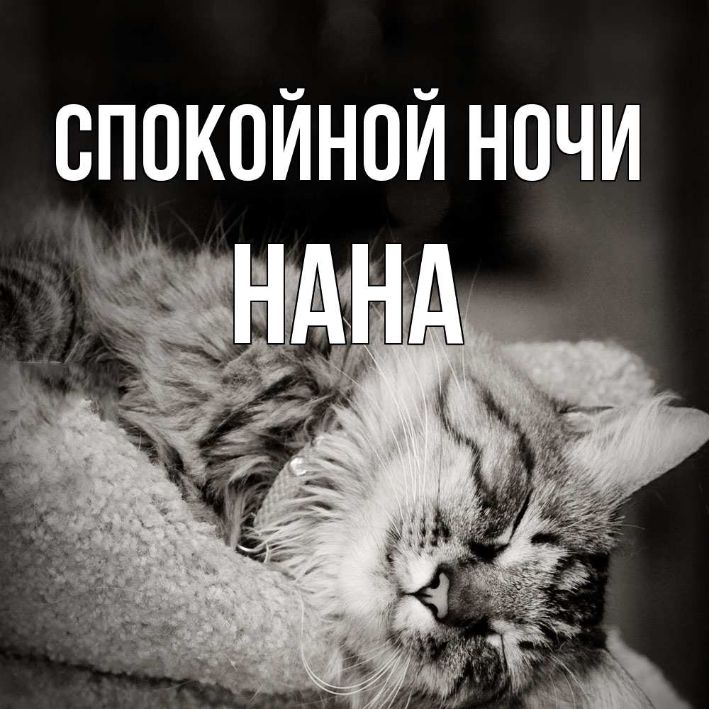 Открытка на каждый день с именем, Нана Спокойной ночи котярик пушистый Прикольная открытка с пожеланием онлайн скачать бесплатно 