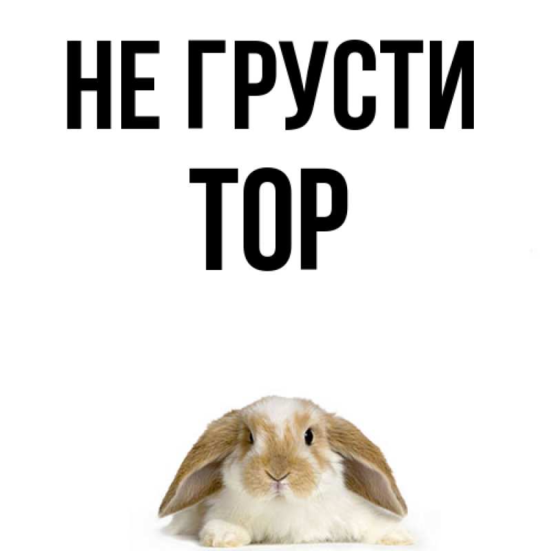 Картинка Не грусти, Тор