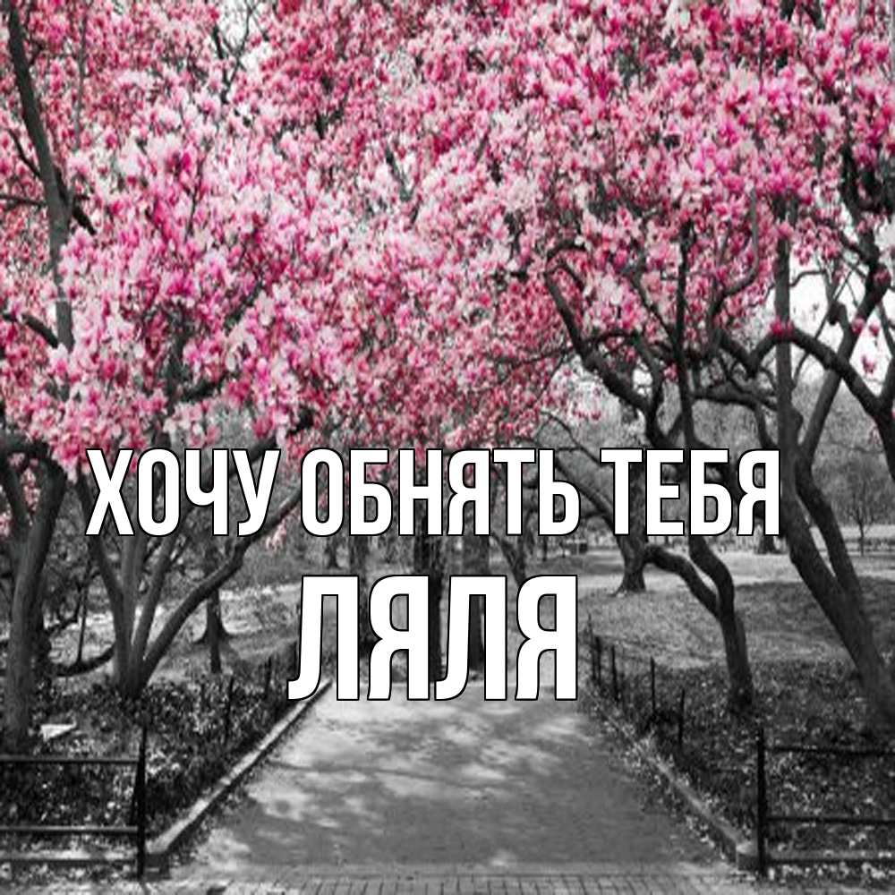Открытка на каждый день с именем, Ляля Хочу обнять тебя обработанное фото Прикольная открытка с пожеланием онлайн скачать бесплатно 