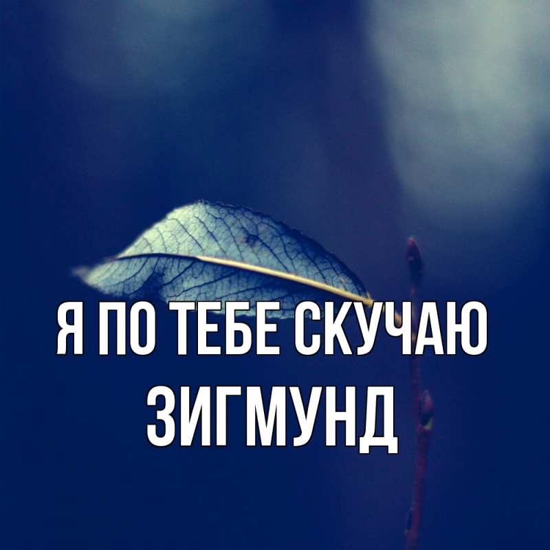 Картинка Я по тебе скучаю, Зигмунд