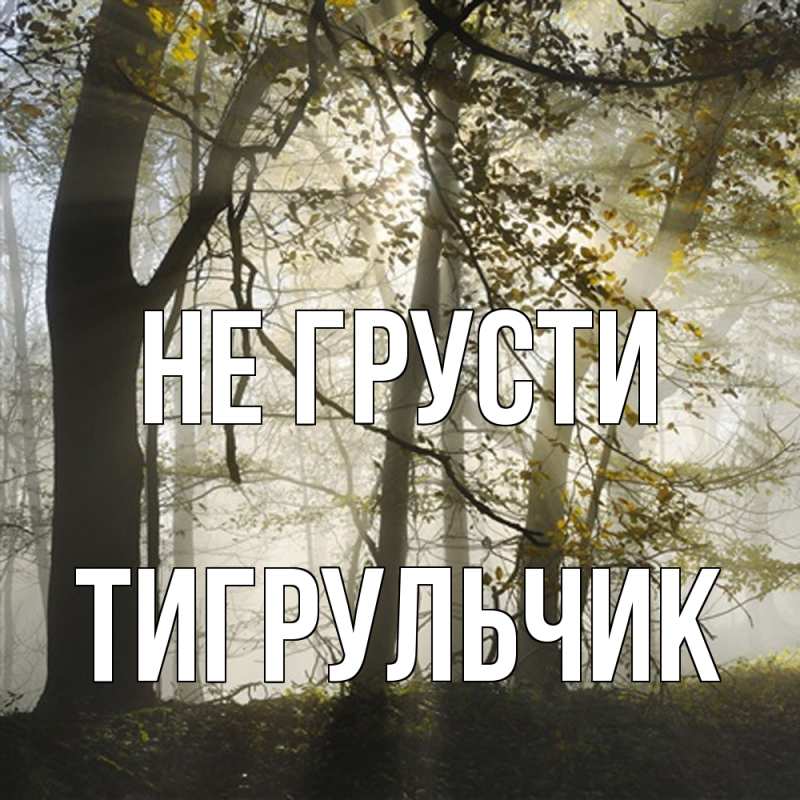 Картинка Не грусти, Тигpульчик