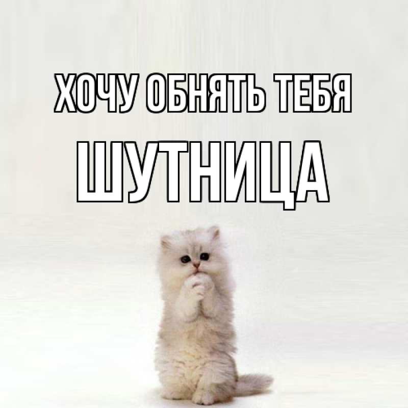 Картинка Хочу обнять тебя, Шутница