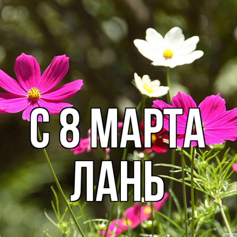 Картинка C 8 МАРТА, лань