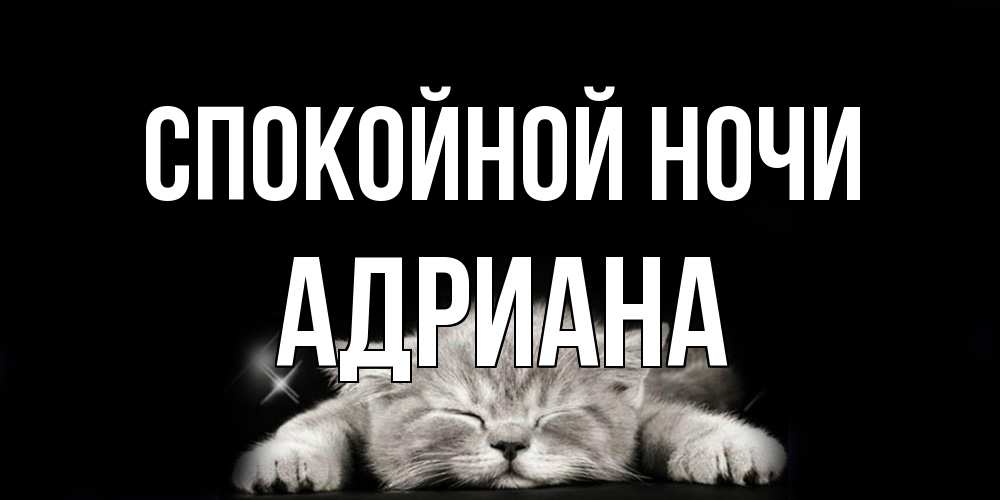 Открытка на каждый день с именем, Адриана Спокойной ночи спящий котик Прикольная открытка с пожеланием онлайн скачать бесплатно 