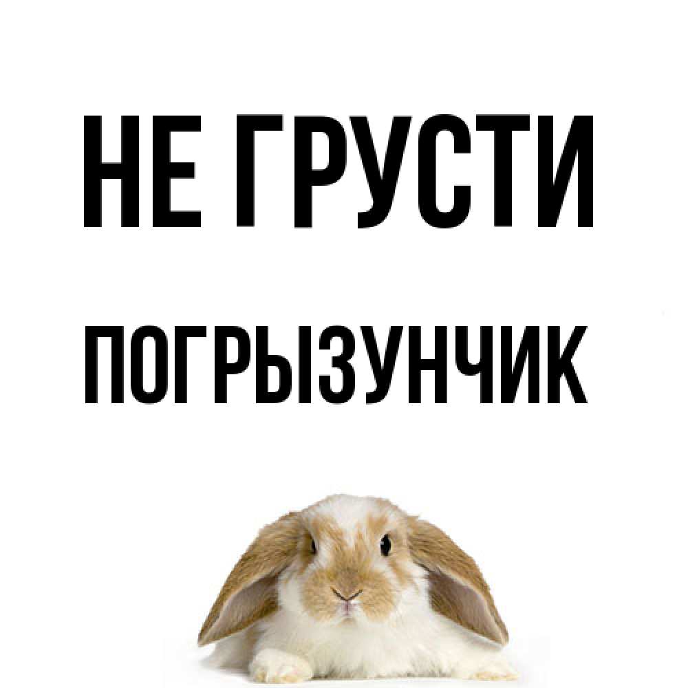 Открытка на каждый день с именем, Погрызунчик Не грусти коричнево белый заяц с большими ушками Прикольная открытка с пожеланием онлайн скачать бесплатно 
