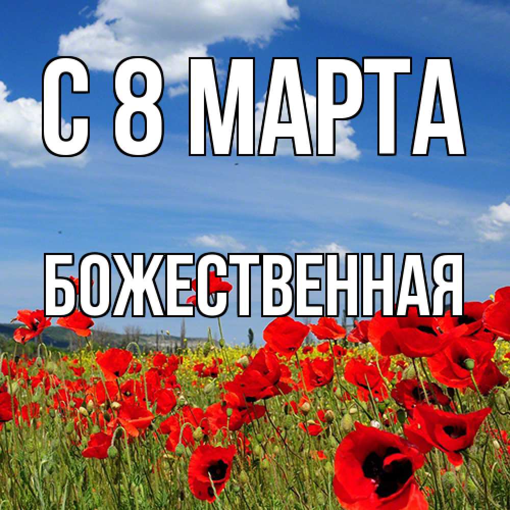 Открытка на каждый день с именем, божественная C 8 МАРТА международный женский день 1 Прикольная открытка с пожеланием онлайн скачать бесплатно 