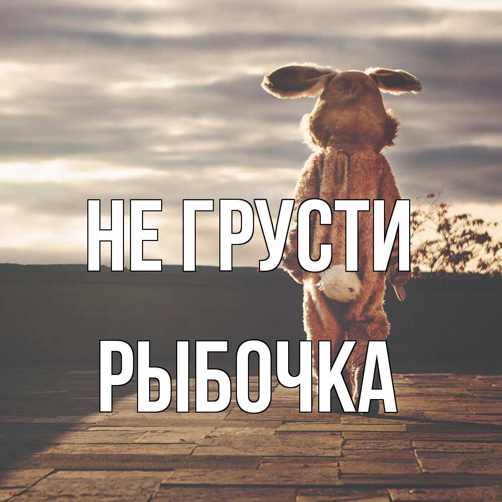 Открытка на каждый день с именем, рыбочка Не грусти со спины Прикольная открытка с пожеланием онлайн скачать бесплатно 