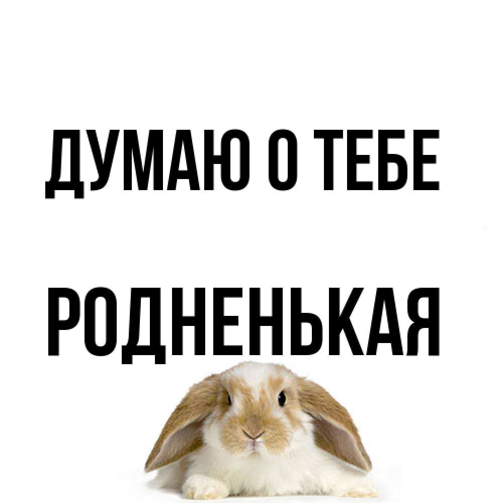 Открытка на каждый день с именем, Родненькая Думаю о тебе подписать своими руками онлайн Прикольная открытка с пожеланием онлайн скачать бесплатно 