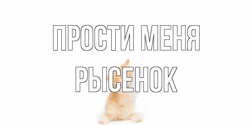 Картинка Прости меня, рысенок