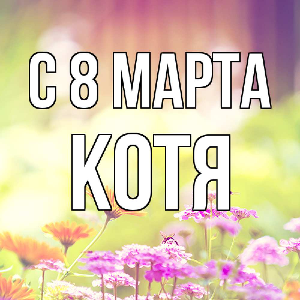 Открытка на каждый день с именем, Котя C 8 МАРТА цветы весна Прикольная открытка с пожеланием онлайн скачать бесплатно 