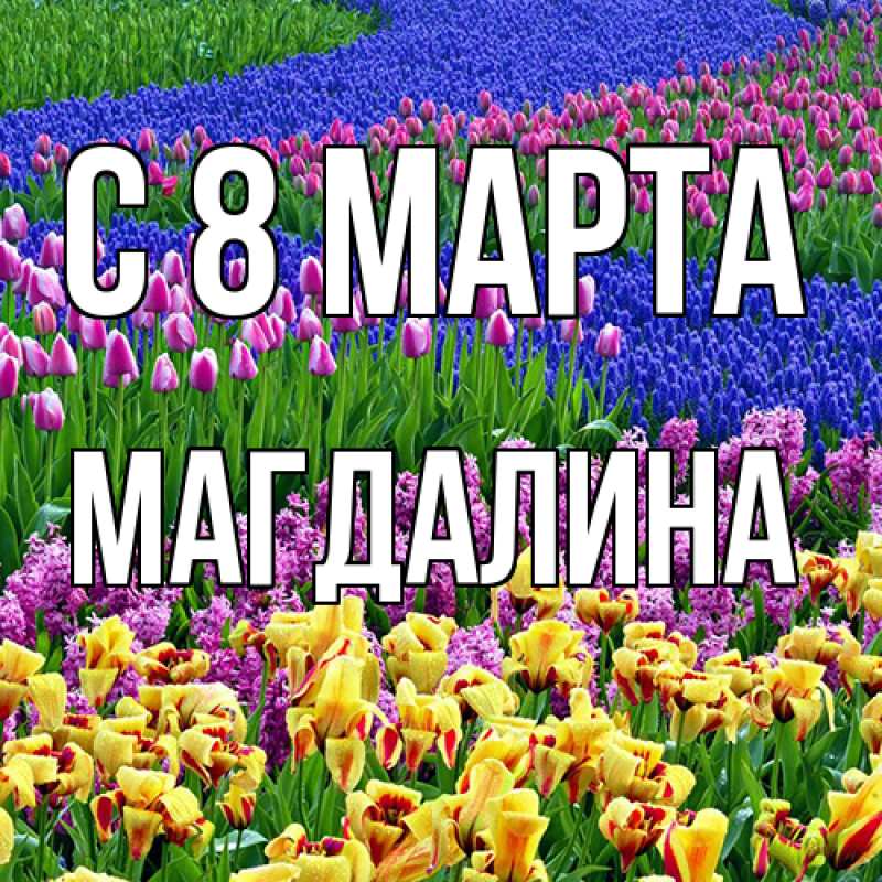 Картинка C 8 МАРТА, Магдалина