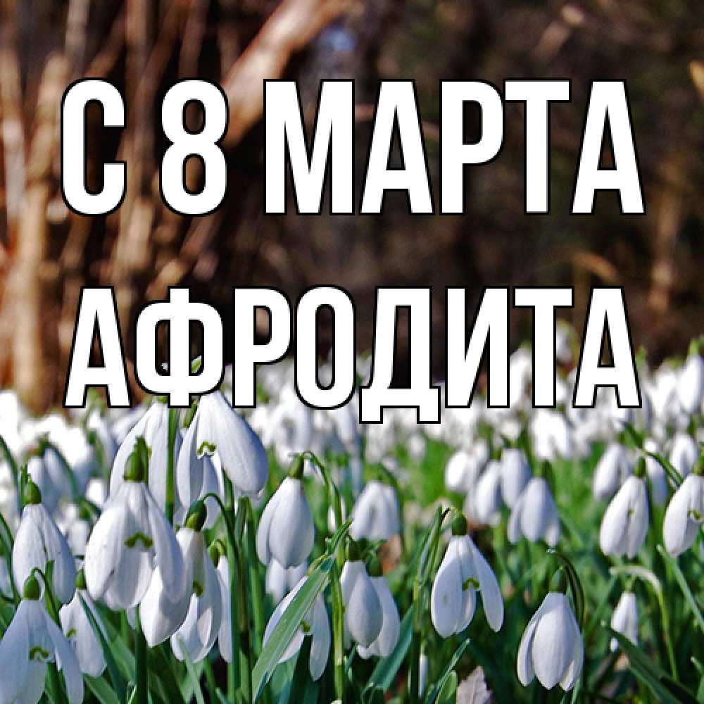Открытка на каждый день с именем, Афродита C 8 МАРТА с подснежниками 1 Прикольная открытка с пожеланием онлайн скачать бесплатно 