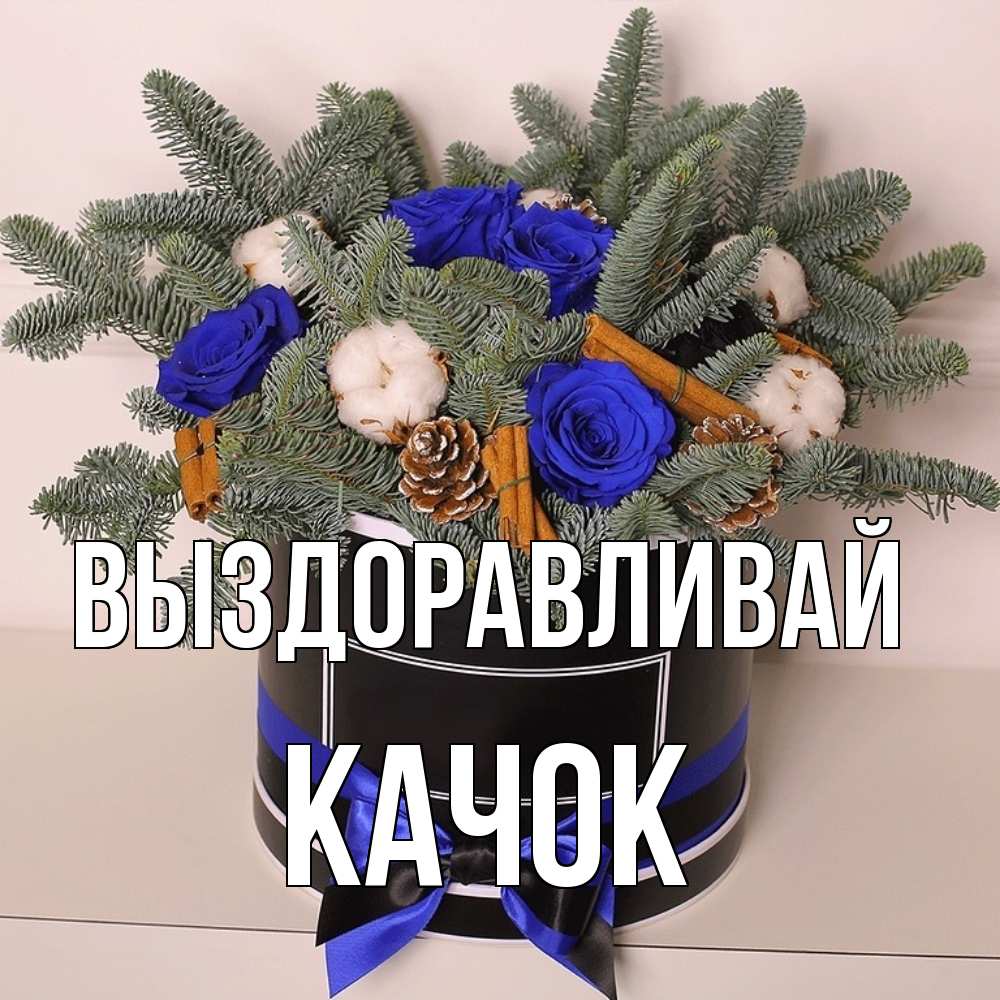 Открытка на каждый день с именем, Качок Выздоравливай короче кто то загрузил эти шишки Прикольная открытка с пожеланием онлайн скачать бесплатно 