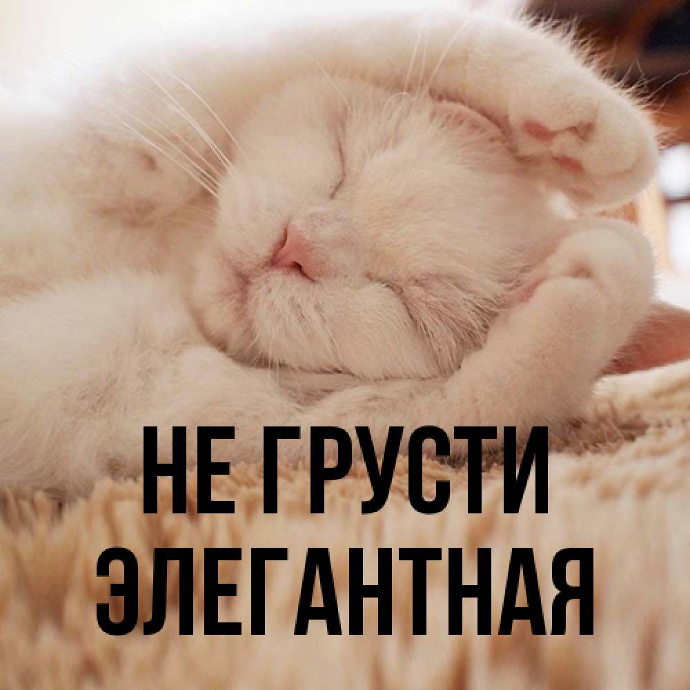 Открытка на каждый день с именем, элегантная Не грусти Котенок спит Прикольная открытка с пожеланием онлайн скачать бесплатно 