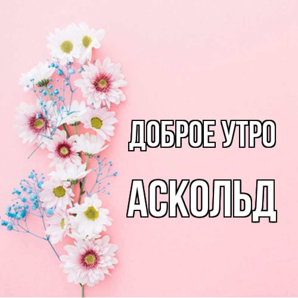 Открытка на каждый день с именем, Аскольд Доброе утро цветы с подписью Прикольная открытка с пожеланием онлайн скачать бесплатно 