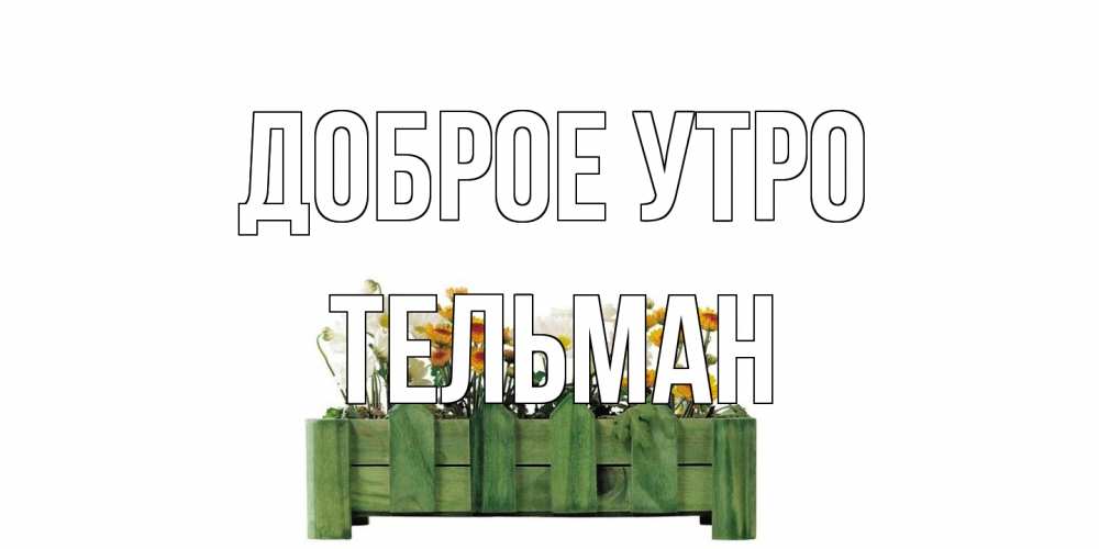 Открытка на каждый день с именем, Тельман Доброе утро цветы Прикольная открытка с пожеланием онлайн скачать бесплатно 