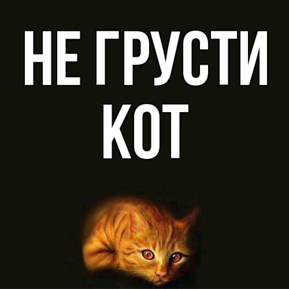Открытка на каждый день с именем, Кот Не грусти лежащий кот в темноте Прикольная открытка с пожеланием онлайн скачать бесплатно 