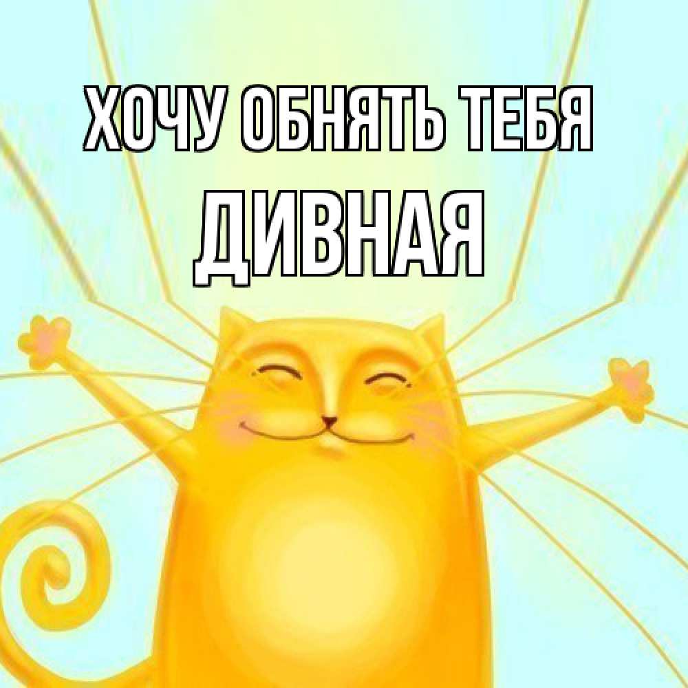 Открытка на каждый день с именем, дивная Хочу обнять тебя солнечный обнимашечный кот Прикольная открытка с пожеланием онлайн скачать бесплатно 