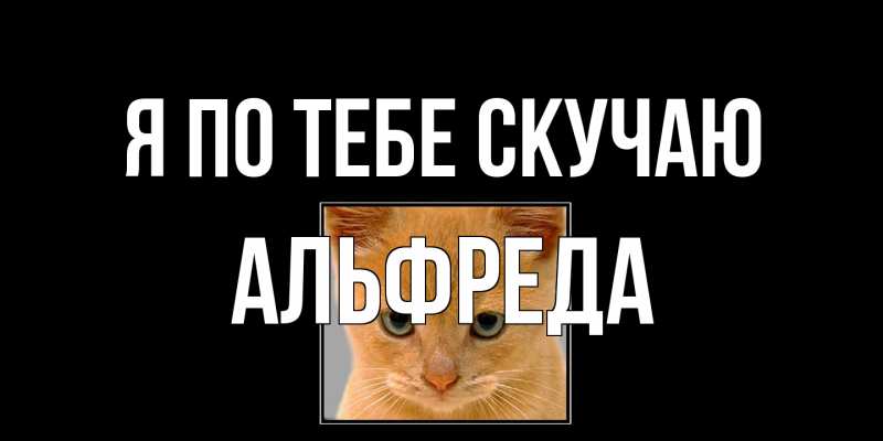 Картинка Я по тебе скучаю, Альфреда