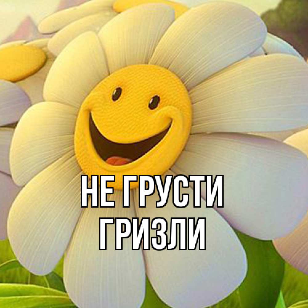 Открытка на каждый день с именем, Гризли Не грусти огромная улыбающаяся ромашуща Прикольная открытка с пожеланием онлайн скачать бесплатно 