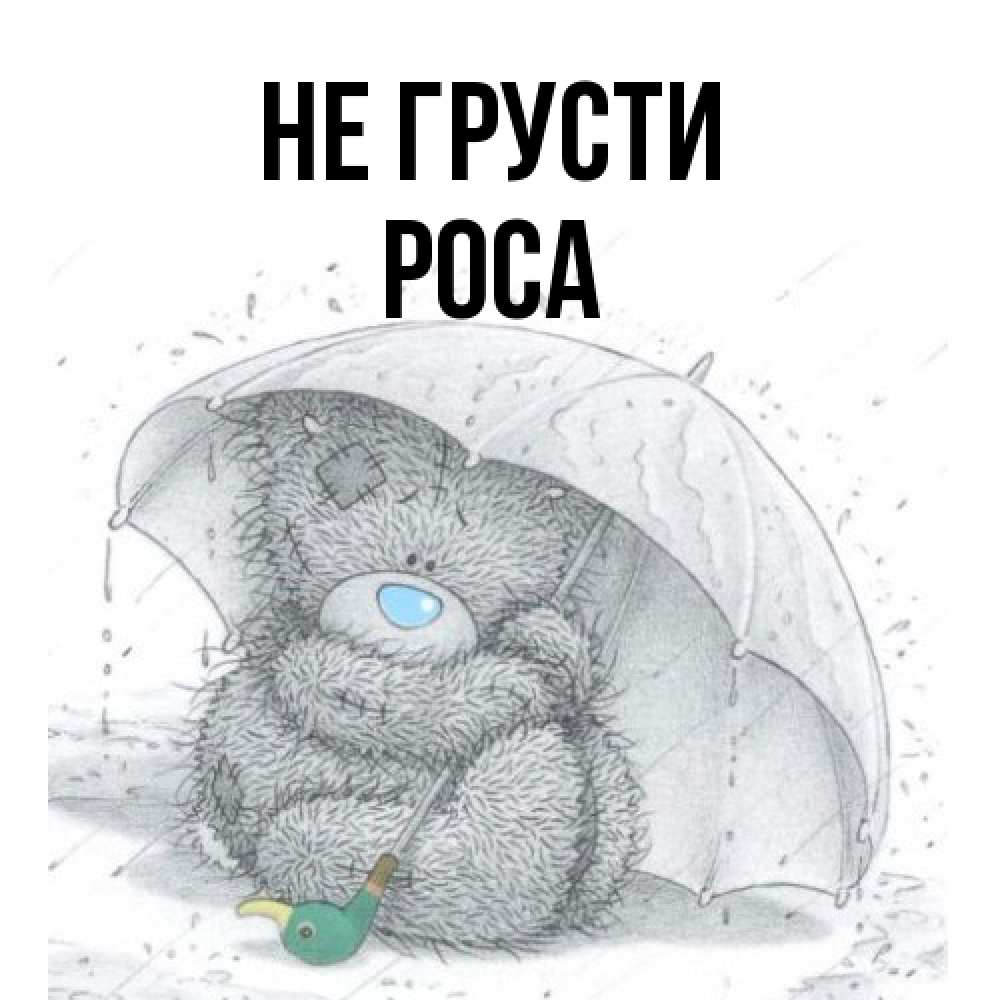 Открытка на каждый день с именем, Роса Не грусти спасите мишку Тедди Прикольная открытка с пожеланием онлайн скачать бесплатно 
